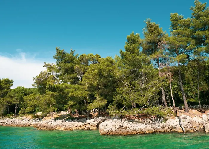 Vera-2 By Interhome Lägenhet *